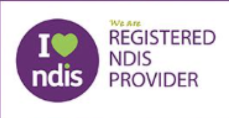NDIS-e1658141691219.png